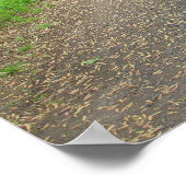 パスのポスターを歩く ポスター (角)