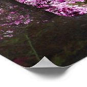 パスの最後のライト自然 ポスター (角)