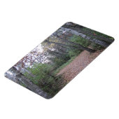 パスを選択 マグネット (左側)