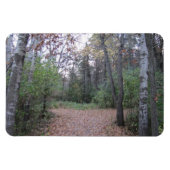 パスを選択 マグネット (横)