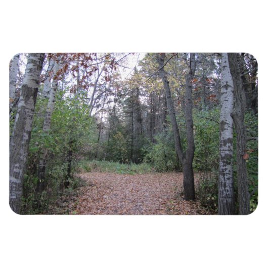 パスを選択 マグネット (横)