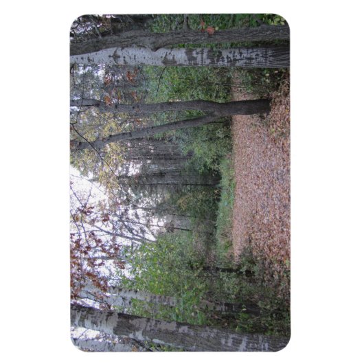 パスを選択 マグネット (縦)