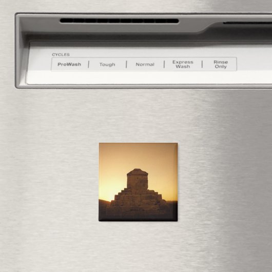 パスアルガ マグネット (インサイチュ (食洗機))