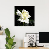 パスカリ白ハイブリッドティーバラ ポスター (ホームオフィス)