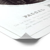 パスカル・パオリ， 1872 ポスター (角)