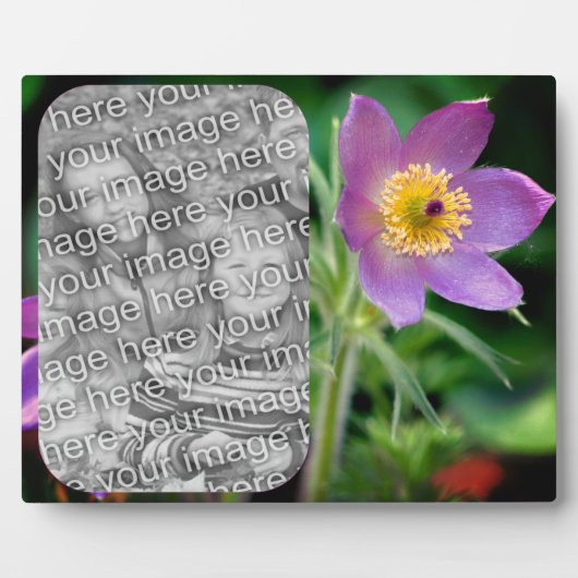 パスクの花自分の写真を作成 フォトプラーク (正面)