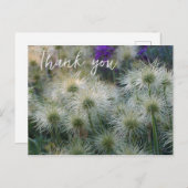 パスク花種ヘッドありがとうはがき ポストカード (正面/裏面)