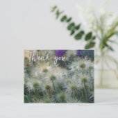 パスケ フラワー 種の頭 サンクス ポストカード (スタンド正面)