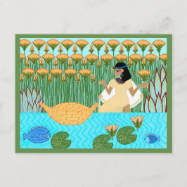 パスソーバーシーダーカード ポストカード