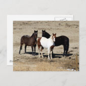 パスチュアトリオ ポストカード (正面/裏面)