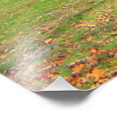パスツリーズオータム秋色葉付き フォトプリント            (角)