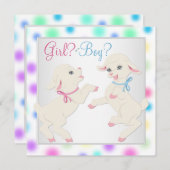 パステルかわいらしラムジェンダーリビール 招待状 (正面/裏面)