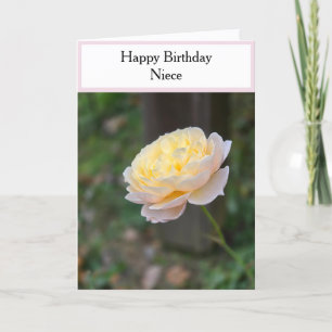 パステルイエロー薔薇 ピンクカップケーキ 姪の誕生日 カード