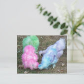 パステルイースターカラーのシルキーチキンを染めたネクタイ シーズンポストカード (スタンド正面)