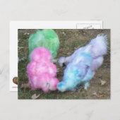 パステルイースターカラーのシルキーチキンを染めたネクタイ シーズンポストカード (正面/裏面)