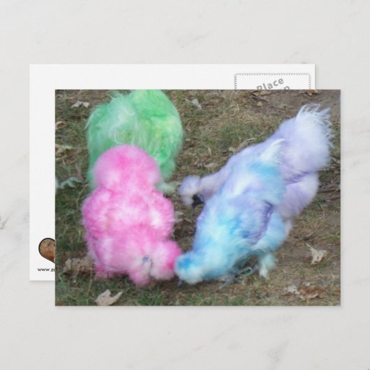 パステルイースターカラーのシルキーチキンを染めたネクタイ シーズンポストカード (正面/裏面)