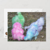 パステルイースターカラーのシルキーチキンを染めたネクタイ シーズンポストカード (正面/裏面)