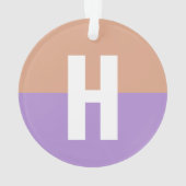 パステルエレガントコロブロックモノグラムイニシャル文字 オーナメント (裏面)