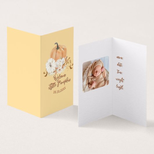 パステルオレンジリトルカンプキンベビー発表 (内部&外部)