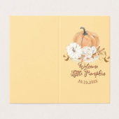 パステルオレンジリトルカンプキンベビー発表 (外部フラット)