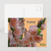 パステルオレンジ ピンク グラジオラス 謝意 ポストカード (正面/裏面)