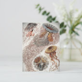 パステルカラーのゼリー(クラゲ) ポストカード (スタンド正面)