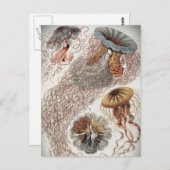 パステルカラーのゼリー(クラゲ) ポストカード (正面/裏面)