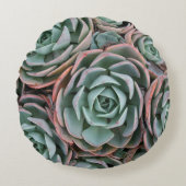 パステルカラー多肉植物ラウンドピロー ラウンドクッション (正面)