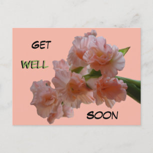 パステルグラジオリ顧客。Get Well Soonはがき ポストカード