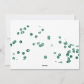 パステルグリーンお洒落卒業⎢フォトカード シーズンカード (裏面)