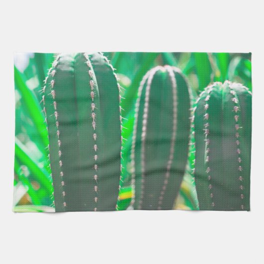 パステルグリーンサボテン葉植物 キッチンタオル (横)