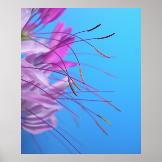 パステルシンプル ポスター (正面)