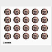 パステルシーズー(犬)Tzu ラウンドシール (シート)