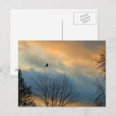 パステルスカイでカラスを鳴らす ポストカード (正面/裏面)