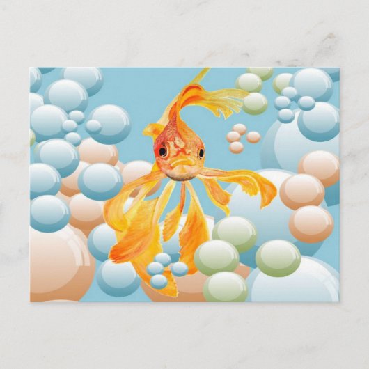 パステルバブル水に入った朱色の金魚 ポストカード (正面)