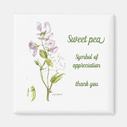 パステルパープルと緑の水色のスイートピー マグネット