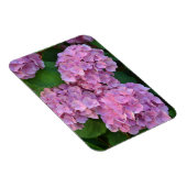 パステルピンクのヤグルマギクの花 マグネット (右側)