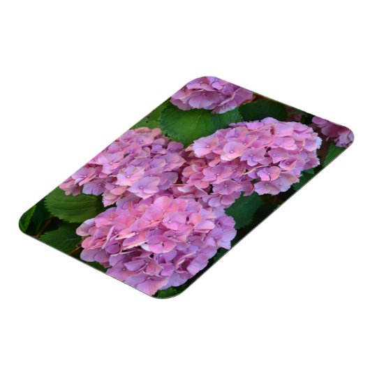 パステルピンクのヤグルマギクの花 マグネット (左側)