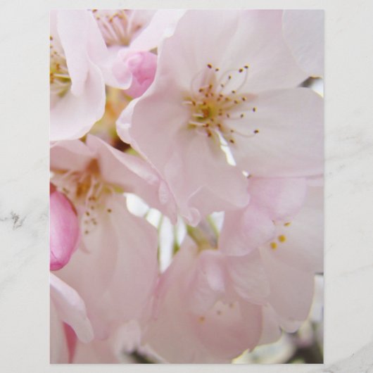 パステルピンクの木の花 フライヤー 紙 カスタム (正面)