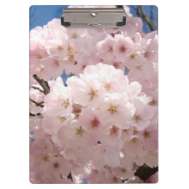 パステルピンクの桜の花 オフィス用カスタムクリップボード クリップボード
