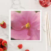 パステルピンクアフリカンバイオレット(Saintpaulia)花 (インサイチュ)