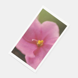 パステルピンクアフリカンバイオレット(Saintpaulia)花