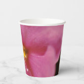 パステルピンクアフリカンバイオレット(Saintpaulia)花 紙コップ (裏面)