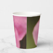 パステルピンクアフリカンバイオレット(Saintpaulia)花 紙コップ (右)