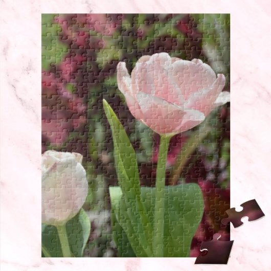 パステルピンクチューリップスプリングタイムフローラ写真 ジグソーパズル