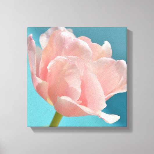 パステルピンクチューリップフローラ植物写真 キャンバスプリント (正面)