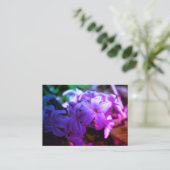 パステルピンクヒヤシンス（ヒヤシンス）花 エンクロージャーカード (スタンド正面)