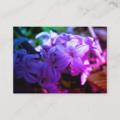 パステルピンクヒヤシンス（ヒヤシンス）花 エンクロージャーカード (正面)