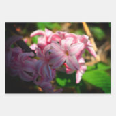 パステルピンクヒヤシンス(ヒヤシンス)花 ラッピングペーパーシート (正面)