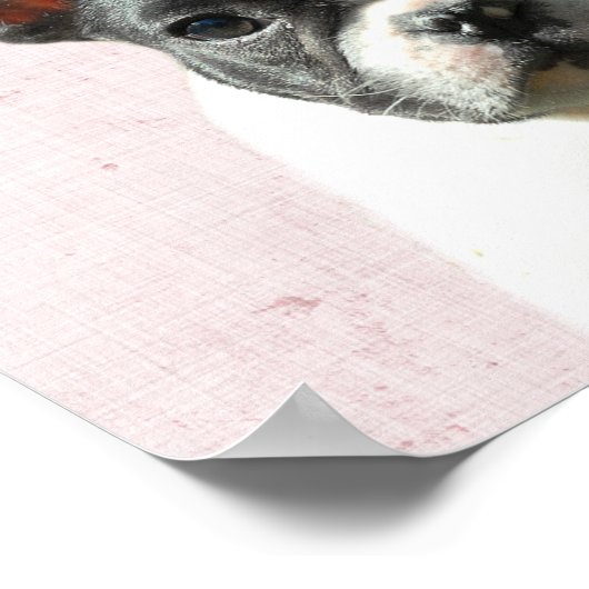 パステルピンクペエカブーボストンテリアパピー子供部屋 ポスター (角)